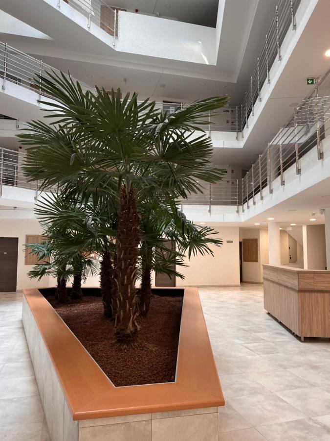 Panorama View Apartment In City Center Хевиз Экстерьер фото